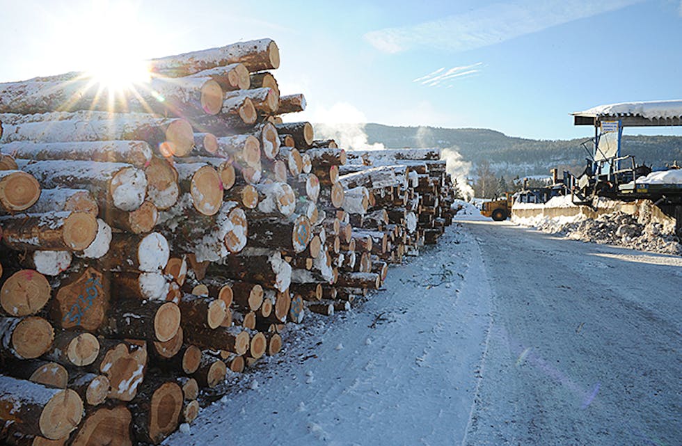 STØRRE FAMILIE: Telemarksbruket i Bø er frå før oppkjøpt av AT Skog. No kjem ein vestfolding inn i familien. Arkivfoto: Gro B. Røiland