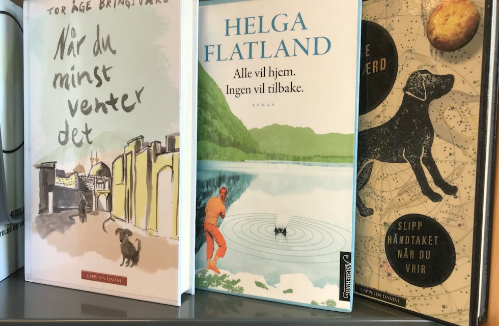 PÅ LISTA: Tor Åge Bringsværd frå Skien og Helga Flatland frå Flatdal står begge på ti på topp-lista frå fylkesbiblioteket.