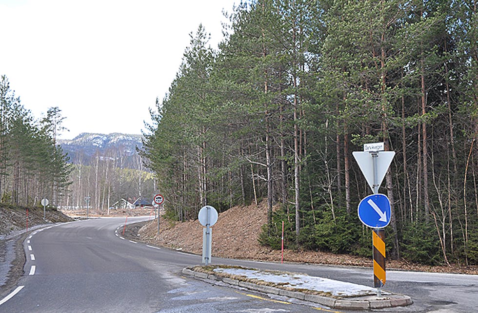 GARVIKSTRONDI: Garvikvegen går over i Garvikstrondi i Seljord. Det er ikkje sagt noko om kvar det blir asfaltert.