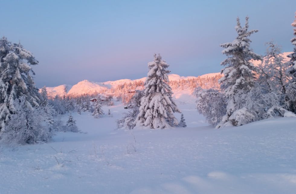 2016-01 Vinter Lifjell