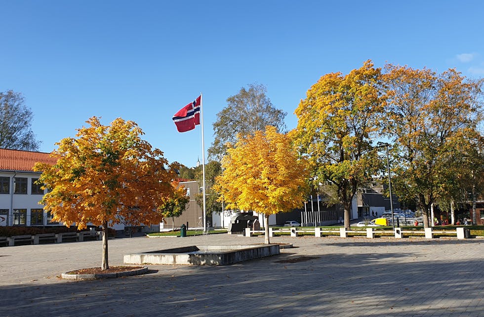 2019-09 Kongebesøk flagg