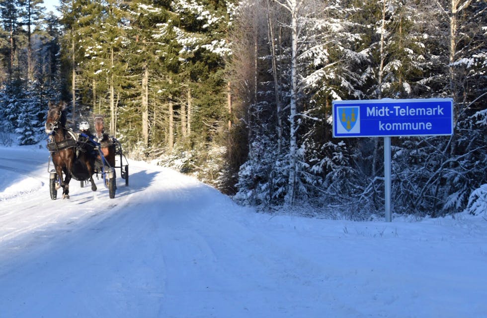 210211 Tråvhest på grensa Midt-Telemark kommune vinter_foto Privat