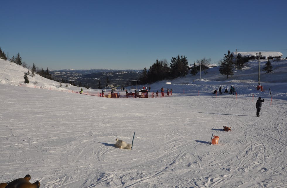 Lifjell Vinterland skitrekk snø sol alpin