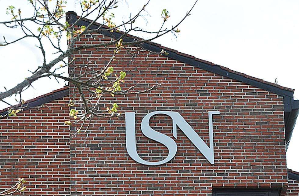 HSN blir til USN Høgskulen i Søraust-Noreg Universitetet i Søraust-Noreg skil