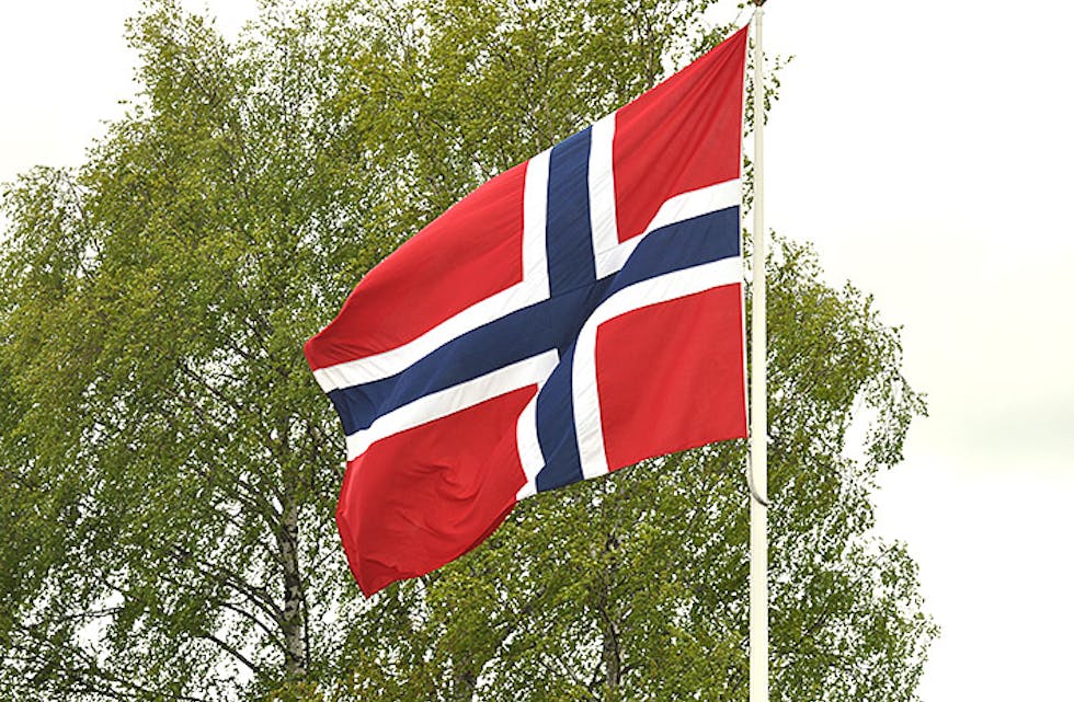 Bø flagg vårbjørk flagg i vind