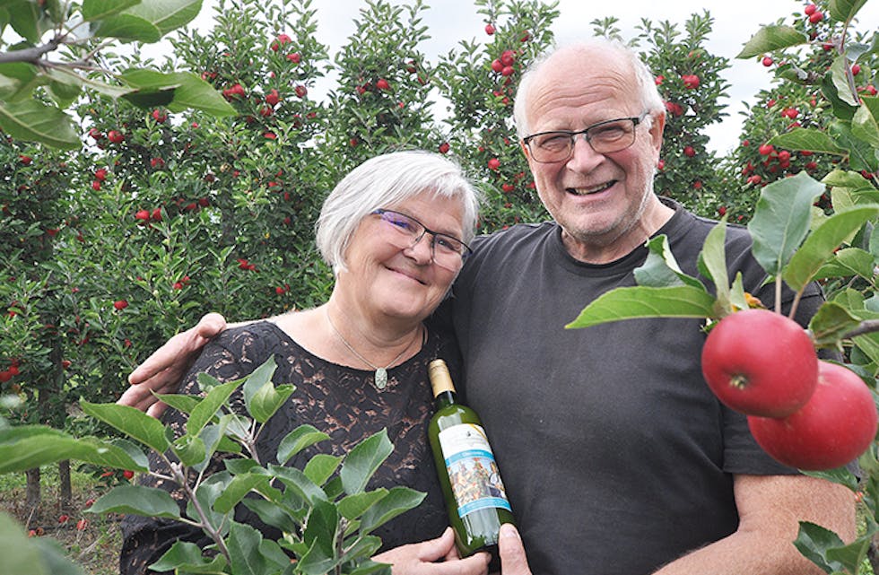 Epleavis 
Anders Høibø og Karine Nybøle Høibø
Eventyrmost Noregs beste eplemost 2021. eple discovery