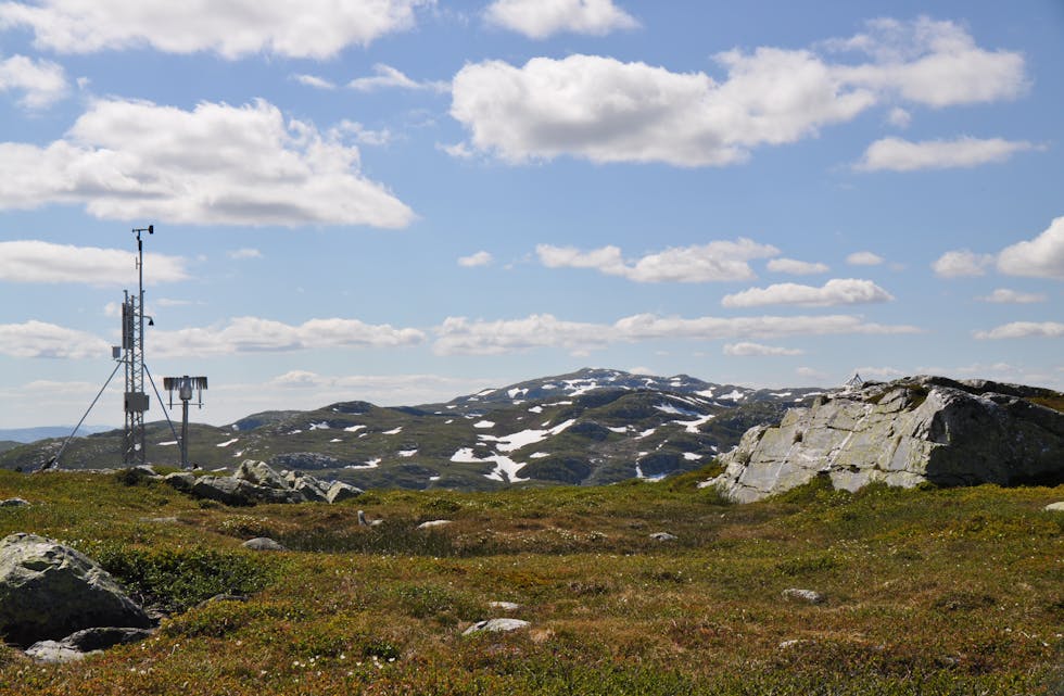VERMÅLESTASJON PÅ LIFJELL: Stasjonen på Øysteinnatten ein fin sommardag i 2015. 

Verstasjon
målestasjon
Lifjell 
Øysteinnatten