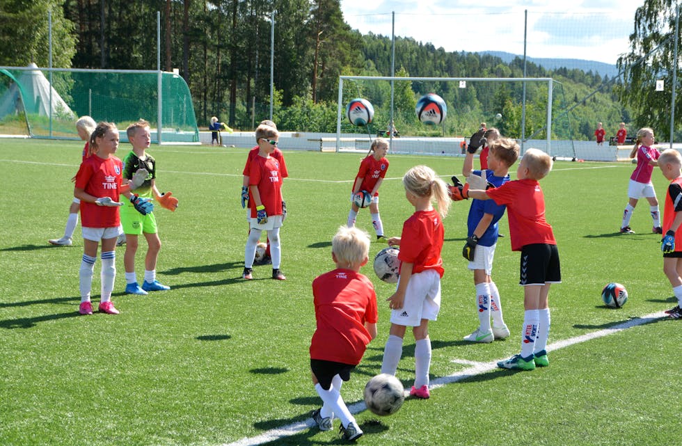 SKARPHEDIN IL: Fotballgruppa har fleire tiltak og aktivitetar for barn og unge. Her er det sommarens fotballskule i samarbeid med TINE som samlar mange unge på Sandvoll til aktivitetar og sosialt samvær. Foto: Øystein Akselberg
