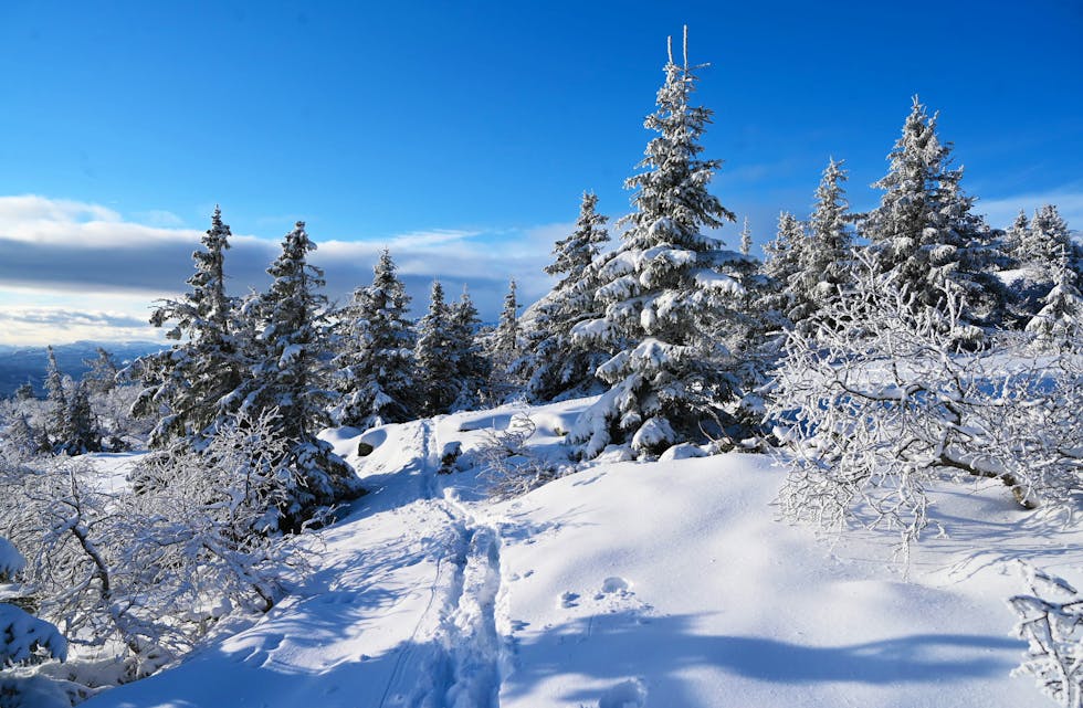 FINVÊR: Til helga er det meldt kaldt og fint vêr i Midt-Telemark.