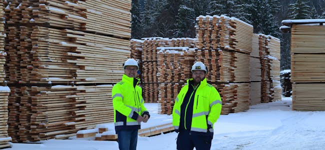 AUKE PRODUKSJONEN: Dagleg leiar Ole Grimsgaard og driftsleiar Knut Egil Øygarden på Telemarksbruket har planar om å auke produksjonen av kjerneved.