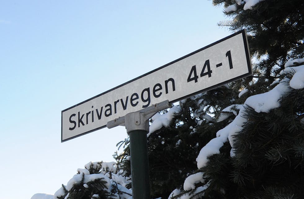 VEGNAMN: Stein Ketil Sauarlia påpeikar at få vegar i Midt-Telemark har namn etter personar. Skrivarvegen i Bø, som nå har blitt Lektorvegen, var kalla opp etter sorenskrivar og stortingsmann Gjermund N. Grivi, populært kalla Skrivaren.