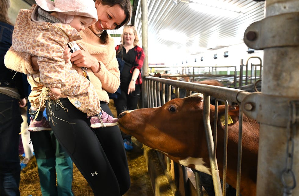 STAS MED KYR: Nora Rønningsland, her på armen til mamma Nina Salthammer, fekk helse på nyfikne kyr i fjøset på Gravjord. Det var stas.
