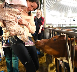 STAS MED KYR: Nora Rønningsland, her på armen til mamma Nina Salthammer, fekk helse på nyfikne kyr i fjøset på Gravjord. Det var stas.