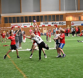 Sommarland handballcup