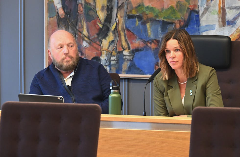 SJUKEMELDT: Borgar Kaasa overtar mens Siri Blichfeldt Dyrland er sjukemeldt, blir det opplyst frå Midt-Telemark kommune.