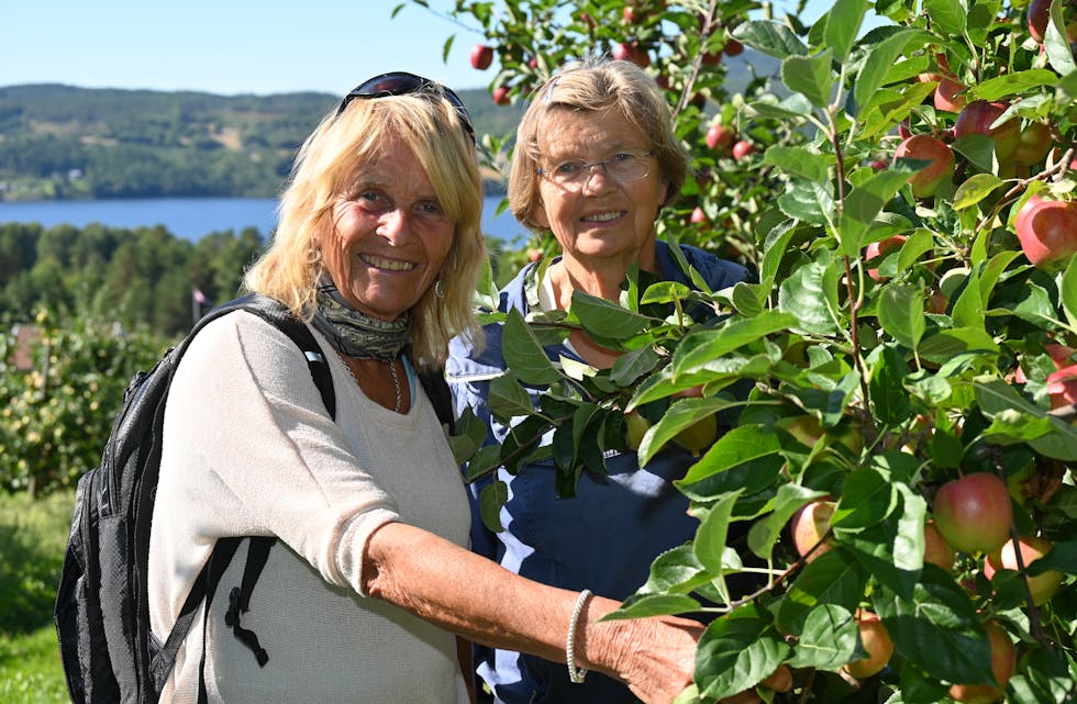– KOM OG BLI MED: Inger-Lise Eriksrud Bergan og Anne Ruth håpar mange vil vere med på eplevandringa. 