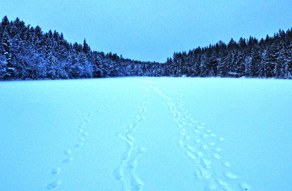 VER VARSAM: Islagde vatn med berre lite snø på kan vere farlege å ferdast på. Eksempel frå Åstjønn i Breisås.