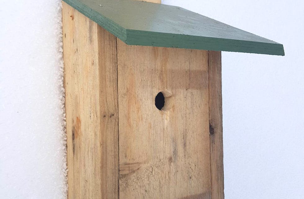 FUGLEKASSE: Det er denne typen fuglekasse ein kan bygge.