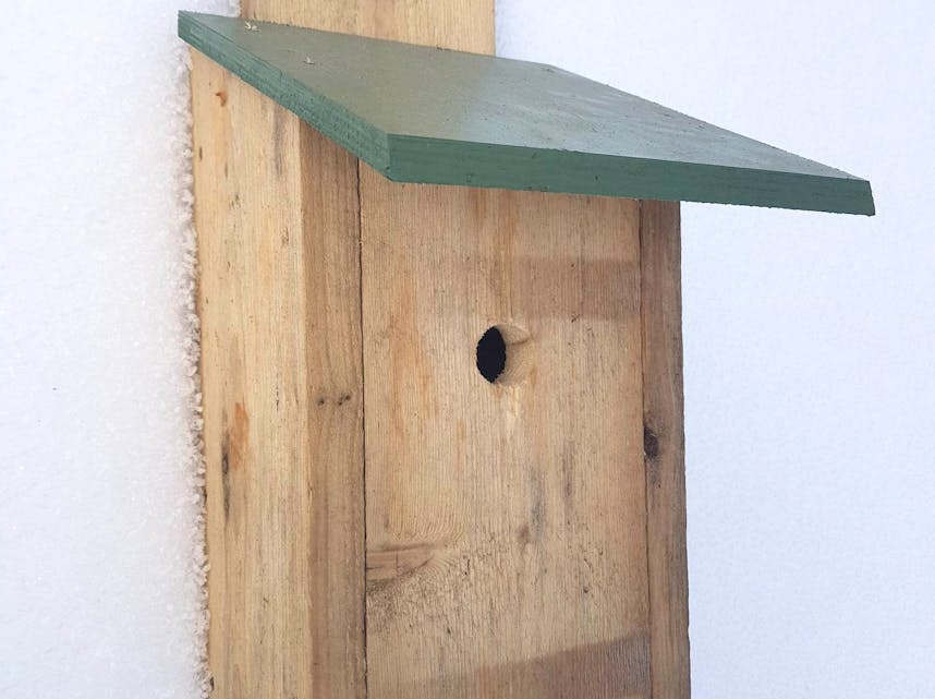FUGLEKASSE: Det er denne typen fuglekasse ein kan bygge.