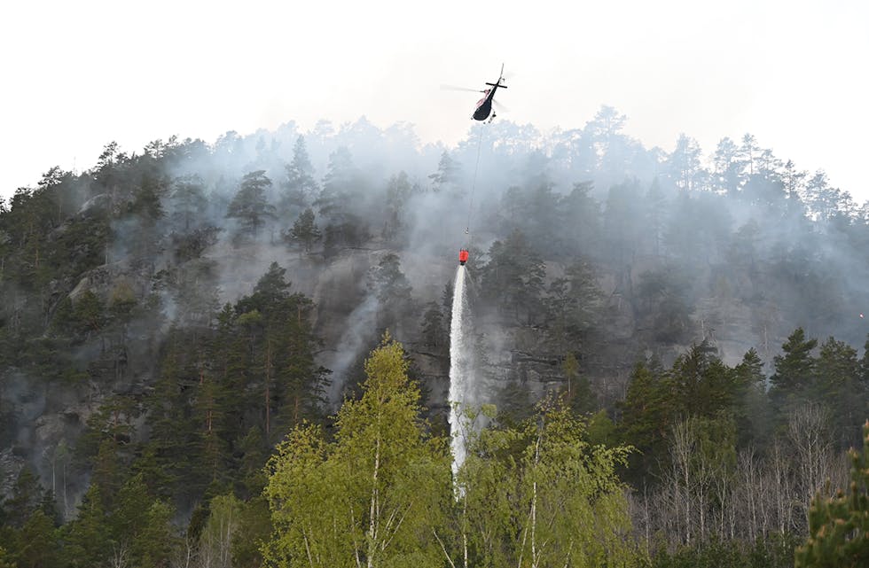 SKOGBRANNFARE: Meteorologisk institutt varslar stor skogbrannfare. Bildet er frå skogbrannen på Vreimsida i 2022.  