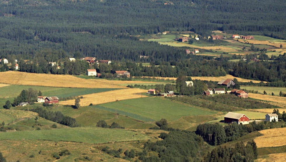 LOKALT: Sisjordområdet på Langkåshaugen, sett frå lufta i 1966.