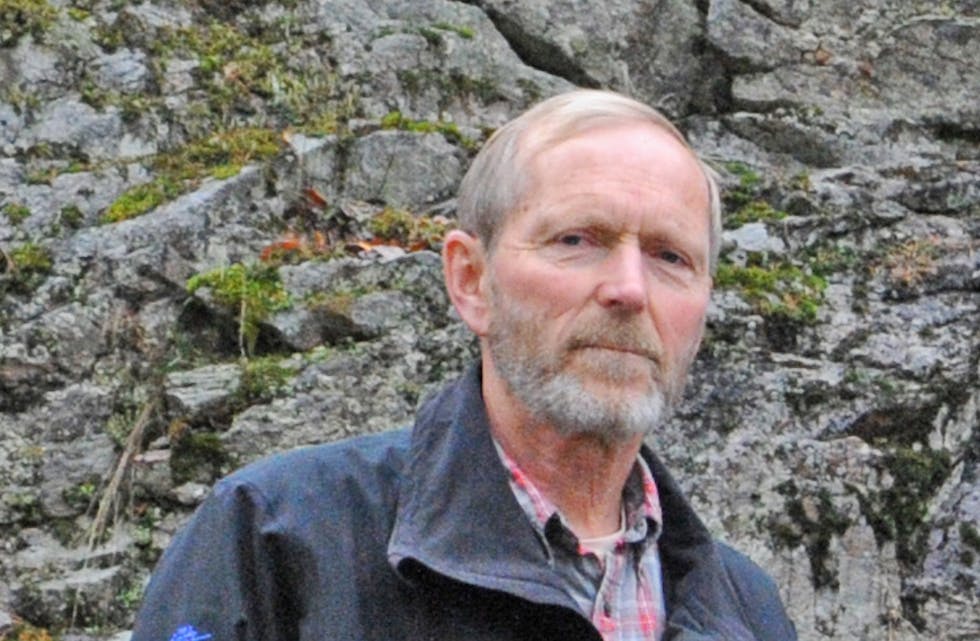 MEINING: Arne Hjeltnes