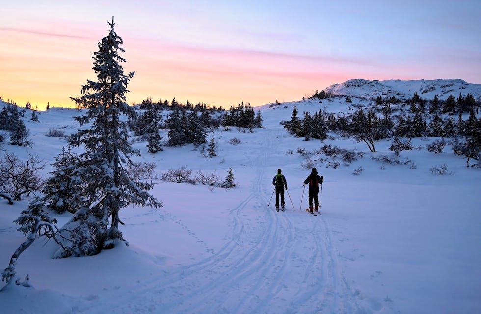 GODE FORHOLD: To skiløparar med randonee-ski på kveldstur.