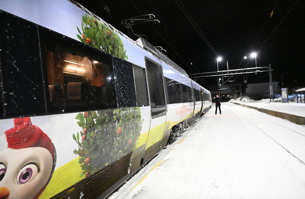 Bø stasjon tog snø vinter