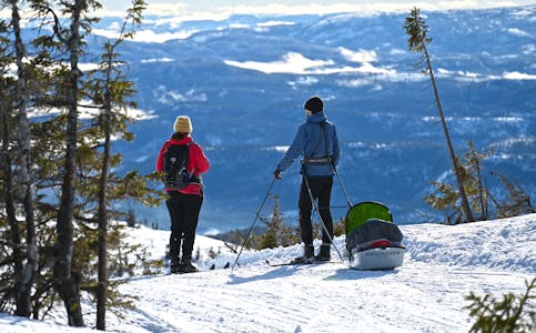 FOLKETAL: Det blei fødd 98 nye innbyggjarar i Midt-Telemark kommune i fjor. Her illustrert med eit lokalt par på skitur på Lifjell med ein junior i pulken.